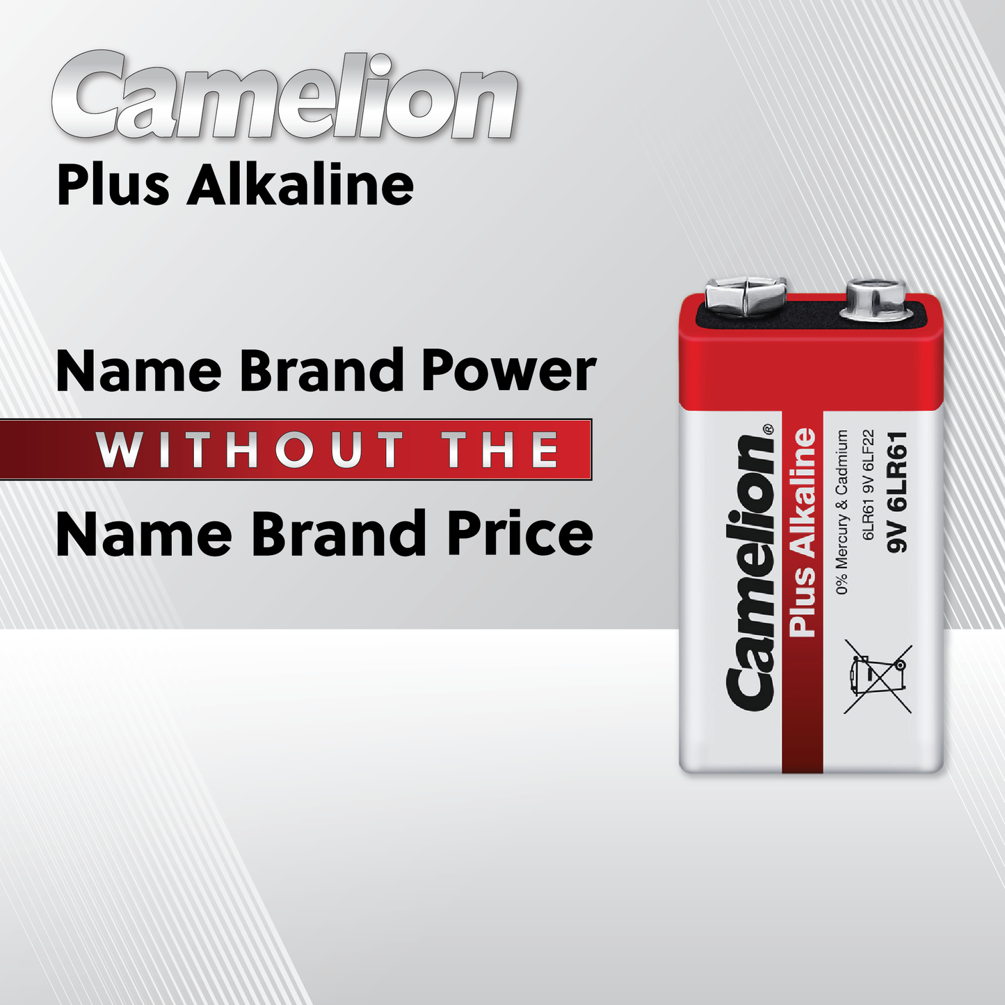 Camelion AA Plus Alkaline Eco Battery Pack of 4 Long Lasting Power for Everyday Devices